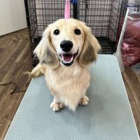 えるもくん
